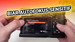 Cara Atur Kecepatan Sensitif Auto Fokus Sony A6400 -  AF Tracking Sens