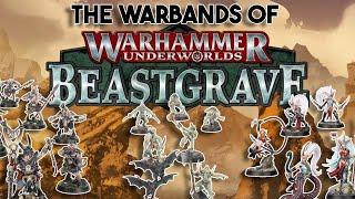 Warbands of Beastgrave  Warhammer Underworlds Lore