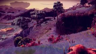 No Mans Sky PC. Очень приятная планета