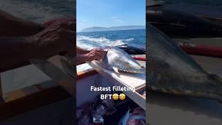 Amazing Bluefin Cutting Skill