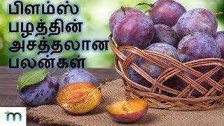 Plums Fruit Health Benefits In Tamil I During Pregnancy Prunes Dry Plums  Manithi Health