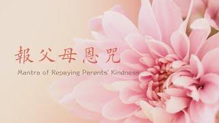 Mantra of Repaying Parents Kindness ｜Healing sound｜Peaceful Sound｜Peace of mind