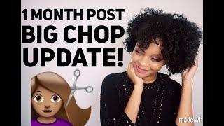 1 MONTH POST BIG CHOP UPDATE  Length Check 17 Months Post Relaxer