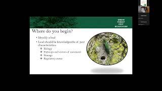 Day 2- Urban Forest Pest Virtual Summit