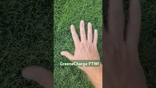 Is GreeneCharge any good? #lawncare #healthylawn #thickgrass #bermudagrass #greenecounty #nicegrass