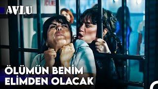 Deniz Demir Gözünden Avlu 40. Bölüm - Avlu