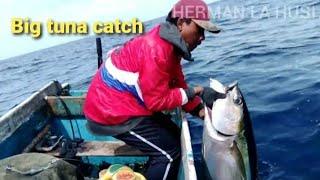 SEPOTONG IKAN CAKALANG DAPAT TUNA BABON 34kg Ini cara membuat umpannya‼