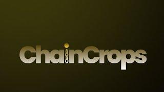 4th July ChainCrops Daily Combo  ChainCrops Daily Combo For Today #chaincrops