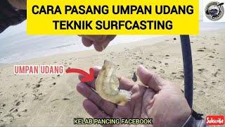 CARA-CARA PASANG UMPAN UDANG UNTUK BALINGAN JAUH MEMANCING DI TEPI PANTAI - TEKNIK SURFCASTING