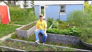 Organic Gardening Tips