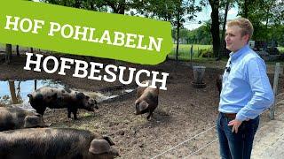 Hofbesuch Hof Pohlabeln