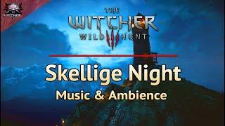 The Witcher 3  Skellige Night  Emotional and Relaxing Soundtrack & Ambience #study