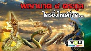 เผยความยิ่งใหญ่ ของพญานาค 4 ตระกูล แบบละเอียด The clan of Naga