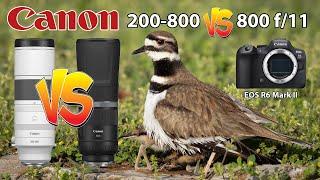 Canon RF 200-800 Vs RF 800 f11 Bird Photography using the EOS R6 Mark II