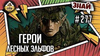 Герои лесных эльфов  Знай #277  Warhammer Fantasy