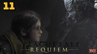 A Plague Tale Requiem. Колыбель веков. Прохождение № 11.