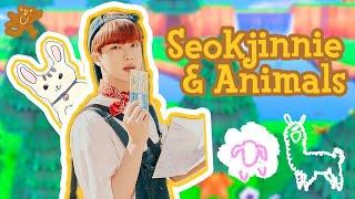 jins love for animals 