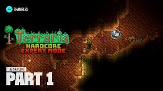 TildeShambles - Terraria Expert Hardcore - Part 1