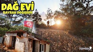 İLAÇLAMA SONRASI GEZGİNİN DAĞ EVİNDE BÜYÜK TEMİZLİK - İLAÇLAMA ETKİLİ OLMUŞ SARI ÖMER ÖRÜMCEĞİ ÇIKTI