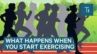 What Happens To Your Body When You Start Exercising Regularly  The Human Body