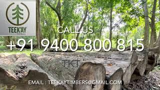 Nilambur Forest Teak Wood Logs Forest Teak Timbers teekay timbers