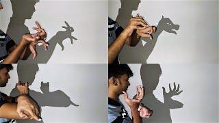 Animal Shadow  Handicraft