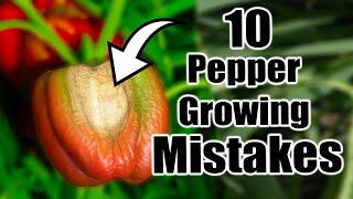 10 Pepper Growing Mistakes