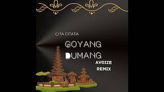 Cita citata-Goyang DumangAVOIZE Remix