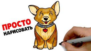 How to draw a Corgi dog  Just drawing a dog  Drawings for sketching
