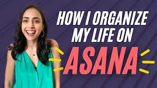 How I Organize My ENTIRE Life On Asana  Lifehack Method