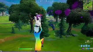 Glide 20 Meters while Holding a Chicken Challenge Fortnite