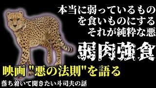 【作業用・睡眠用BGM】人間の本質、純粋な悪とは？【岡田斗司夫】【悪の法則】