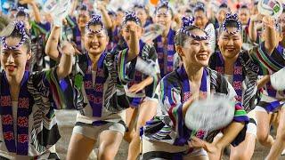 Awaodori Dance Festival in Tokushima Japan  2023 Awaodori  ASMR