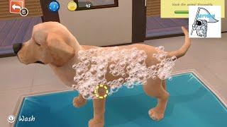 Animal Hospital #animalhospital - Nintendo Switch Gameplay No Commentary Undocked Non-Steam