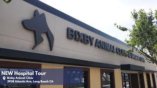 Bixby Animal Clinic Veterinary Hospital Tour