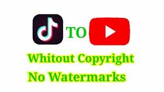 How To Upload Tiktok Video On YouTube Without CopyrightWithout watermark