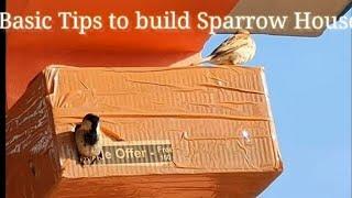 Live Proof  Sparrow   Making Nest  How to make simple bird house Using Cardboard  #hardevok