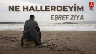 EŞREF ZİYA NE HALLERDEYİM