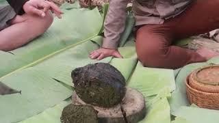 CHINESE eats PIGSHIT with MAGGOTS inside - Says it tastes good