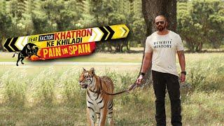 Khatron Ke Khiladi S8  Title Song  Instrumental Version 