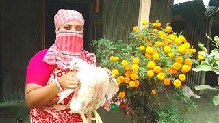 Slaughtering Chicken in Village style  Women Butchers
