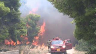 Incendios voraces en Grecia dejan 50 muertos