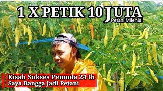 Petani Muda 24 Tahun Sukses Hasilkan PULUHAN JUTA Tiap Minggu Dari Bertani Cabe