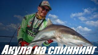 Андрей Питерцов. Ловля акулы