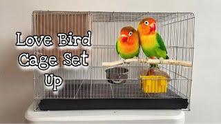 How To Set Up Breeding Cage  Opaline Love Bird