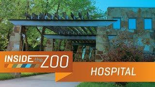 Animal Hospital Tour  Inside the Zoo Hospital Ep. 1