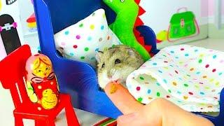 СПАЛЬНЯ ХОМЯКА дом РУМ ТУР - Хомяк и его игровой домик  Elli Di Pets