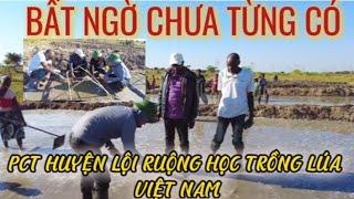 Bất Ngờ Chưa Từng Có Lãnh Đạo Huyện Lội Ruộng Học Cách Trồng Lúa Nước Việt Nam.