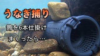 巨大うなぎ！？天然ウナギを求めて筒を仕掛けると…