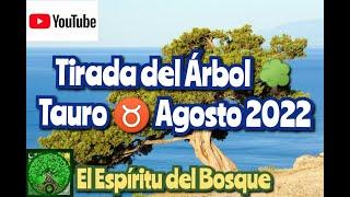 Tirada del árbol TAURO AGOSTO 2022